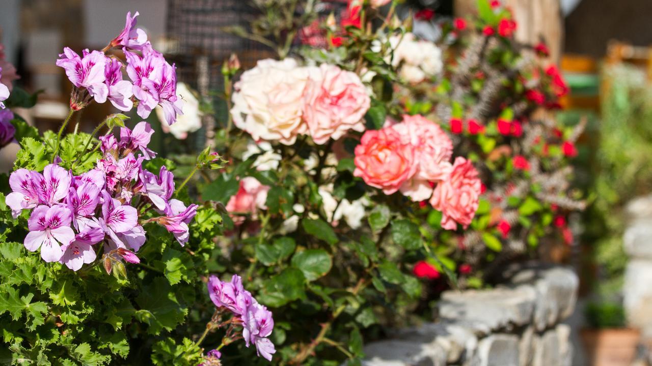 Pachnes Bed And Breakfast Ajia Rumeli Zewnętrze zdjęcie